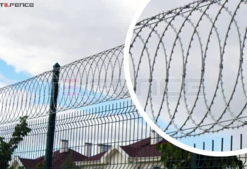 Concertina (Razor Wire)